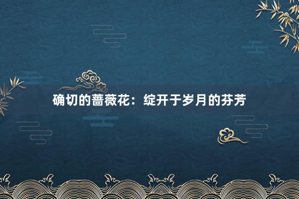 确切的蔷薇花：绽开于岁月的芬芳