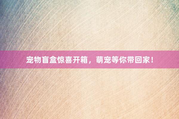 宠物盲盒惊喜开箱，萌宠等你带回家！
