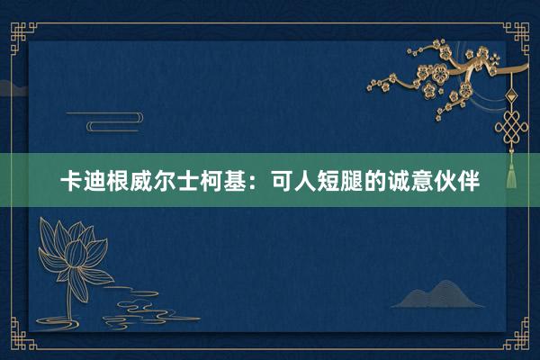 卡迪根威尔士柯基：可人短腿的诚意伙伴
